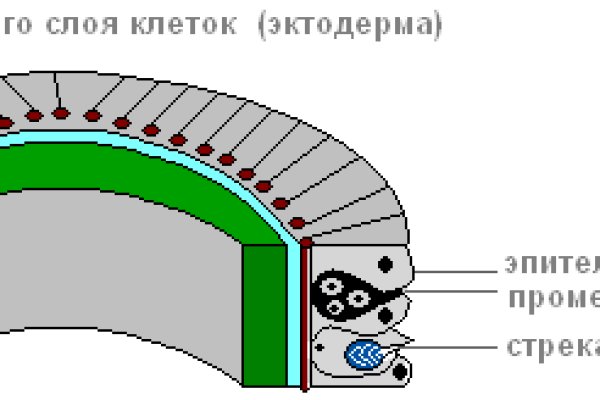 Ссылка на кракен через тор