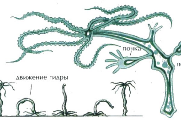 Актуальный сайт кракена