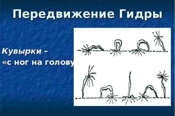 Кракен даркнет как зайти