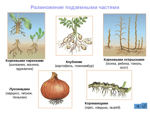 Кракен сайт пользователь не найден