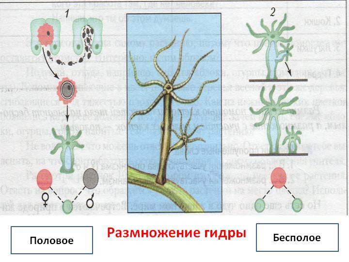 Вход кракен